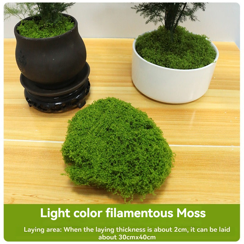 Moss Simulation